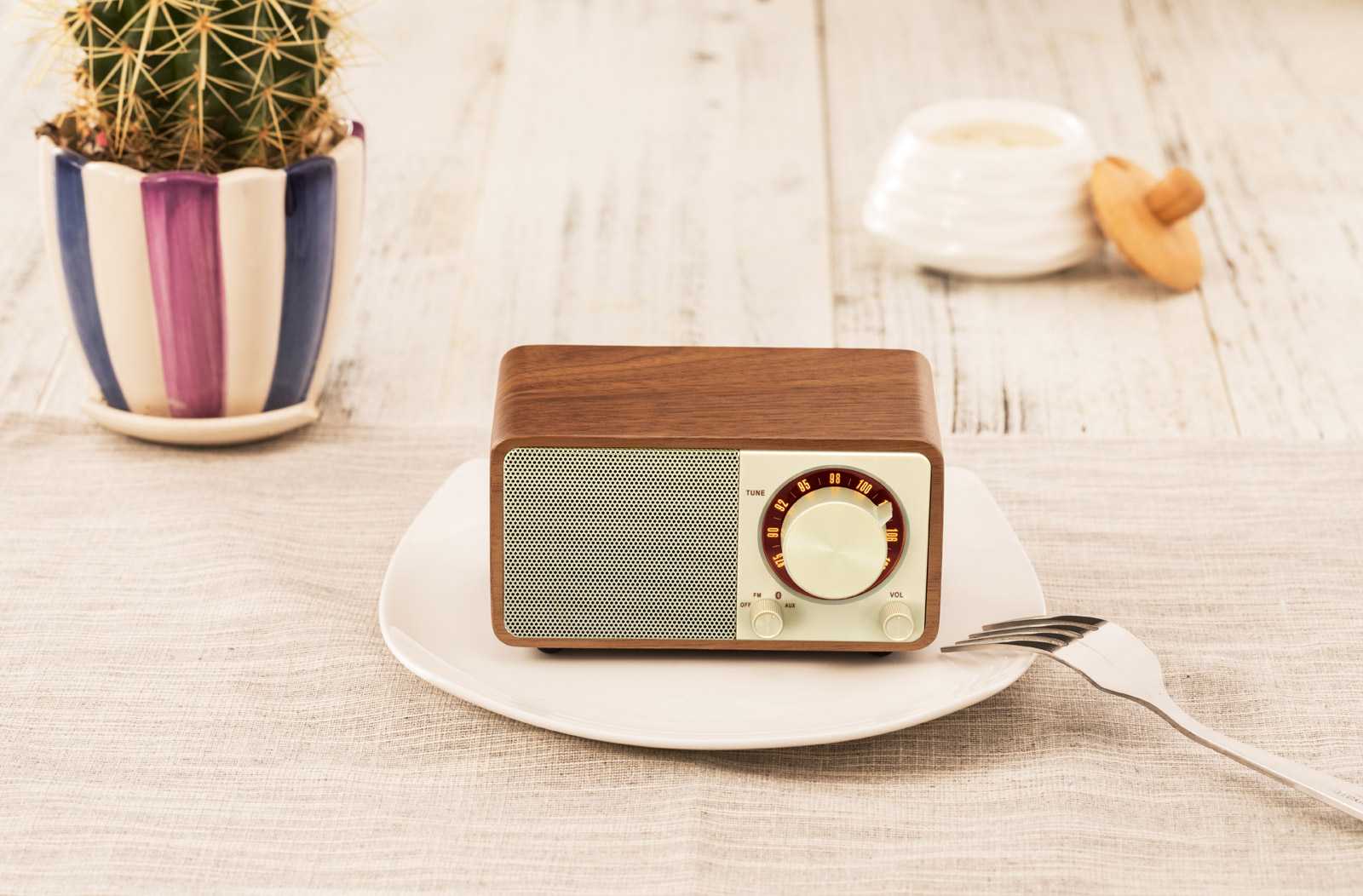 Radio FM avec Bluetooth portatif WR-7