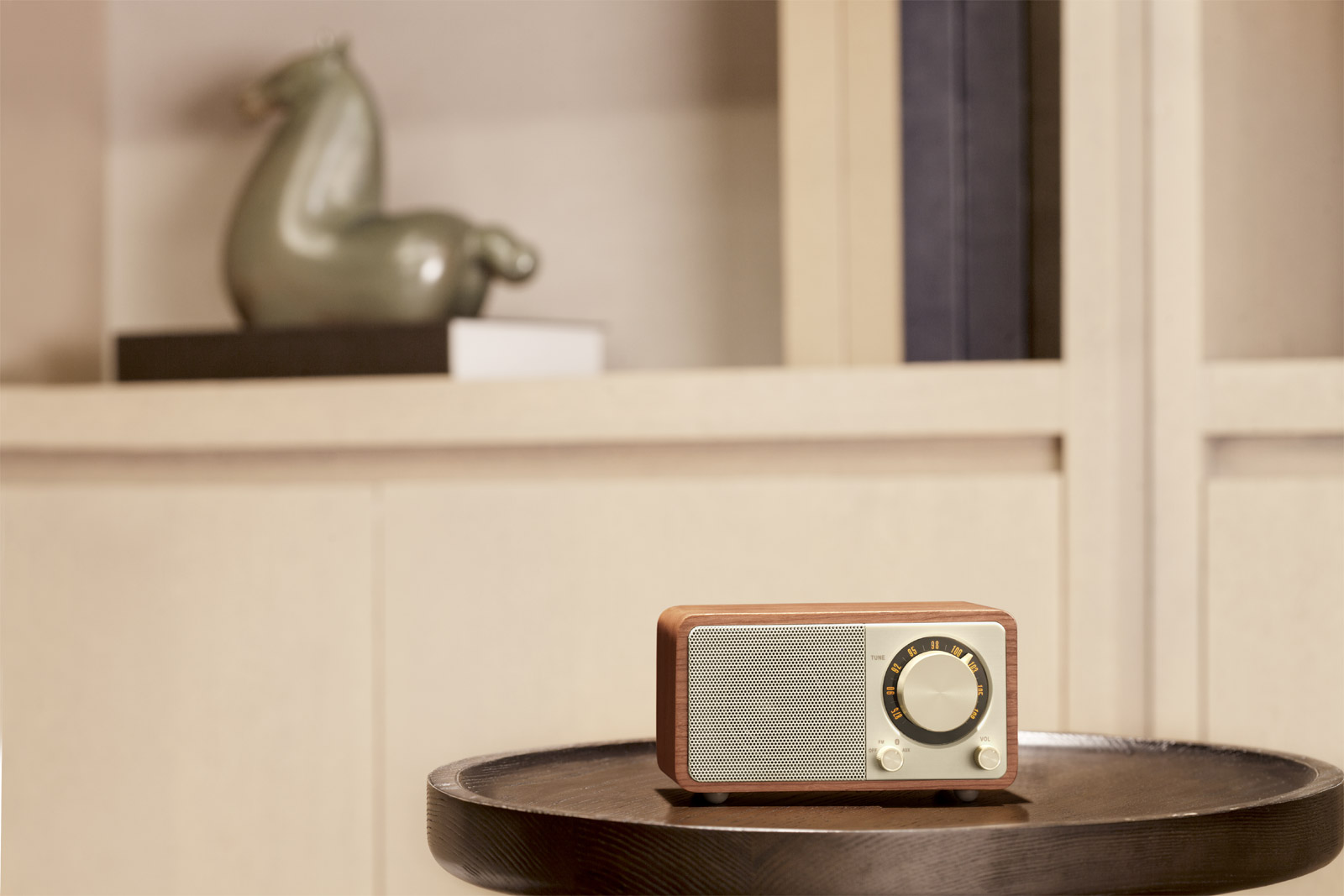 Radio FM avec Bluetooth portatif WR-7